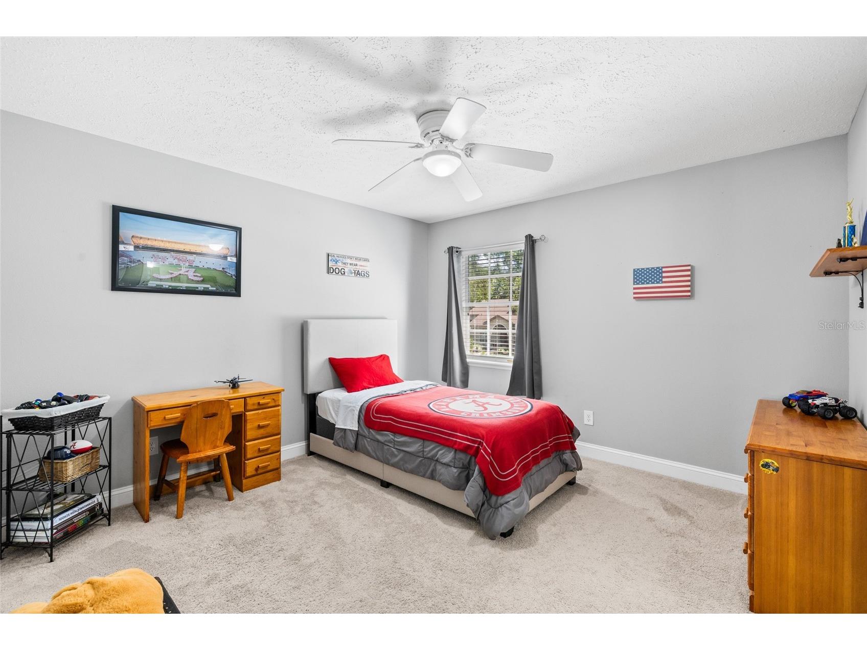 18010 Clear Lake Drive Lutz FL 33548 - STRAWBERRY LAKE TB8472249 image37