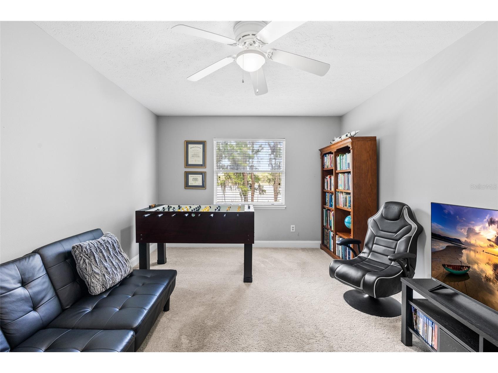 18010 Clear Lake Drive Lutz FL 33548 - STRAWBERRY LAKE TB8472249 image41