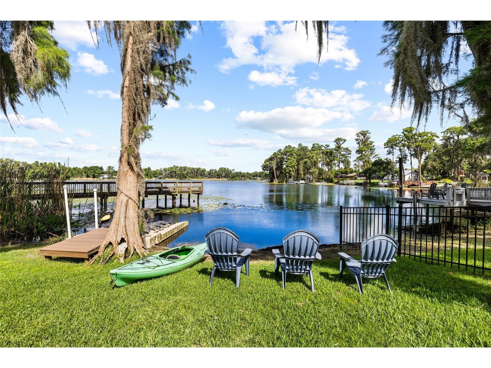 18010 Clear Lake Drive Lutz FL 33548 - STRAWBERRY LAKE TB8472249 image58