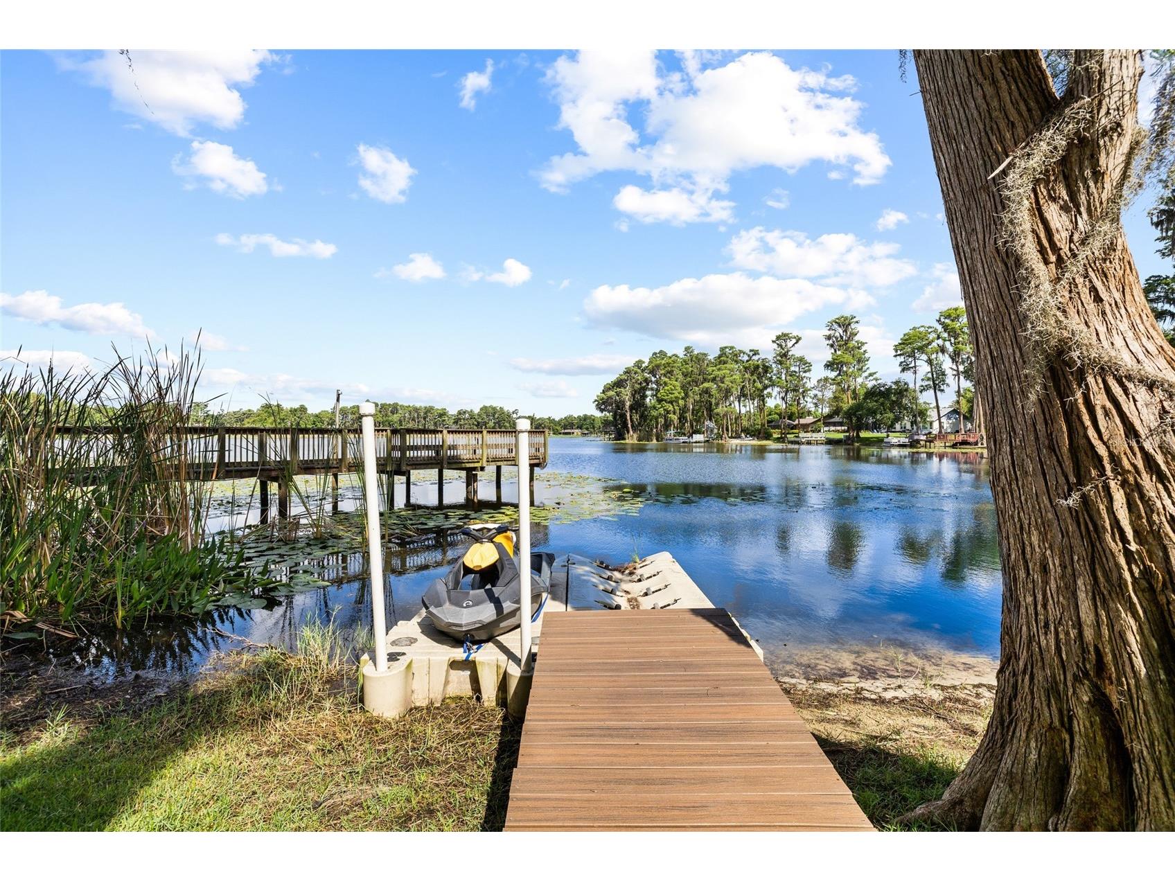 18010 Clear Lake Drive Lutz FL 33548 - STRAWBERRY LAKE TB8472249 image59