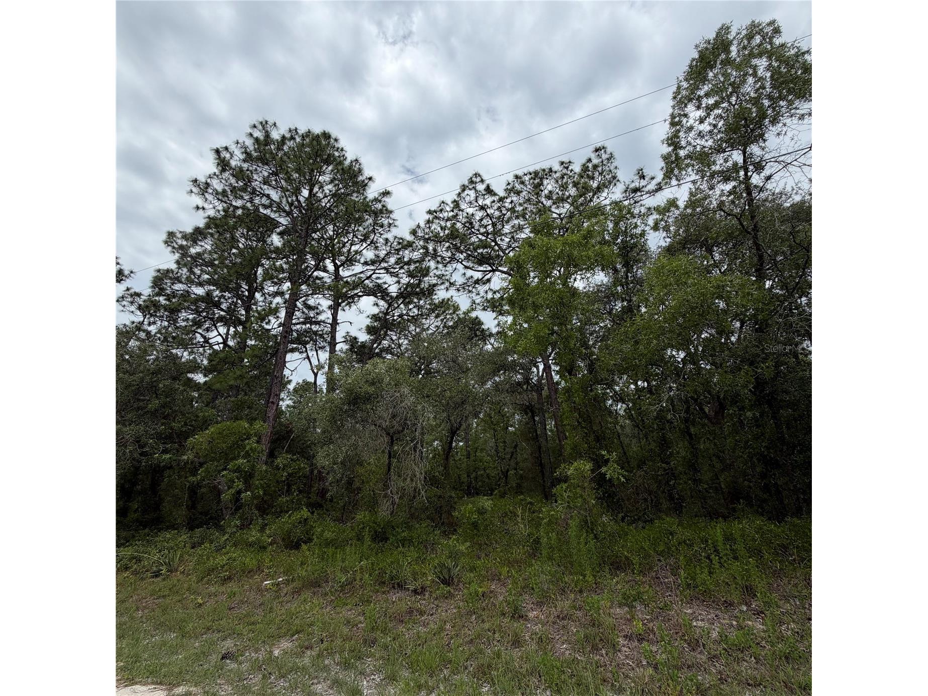 18011 Nutcracker Road Weeki Wachee FL 34614 W7886330 image1