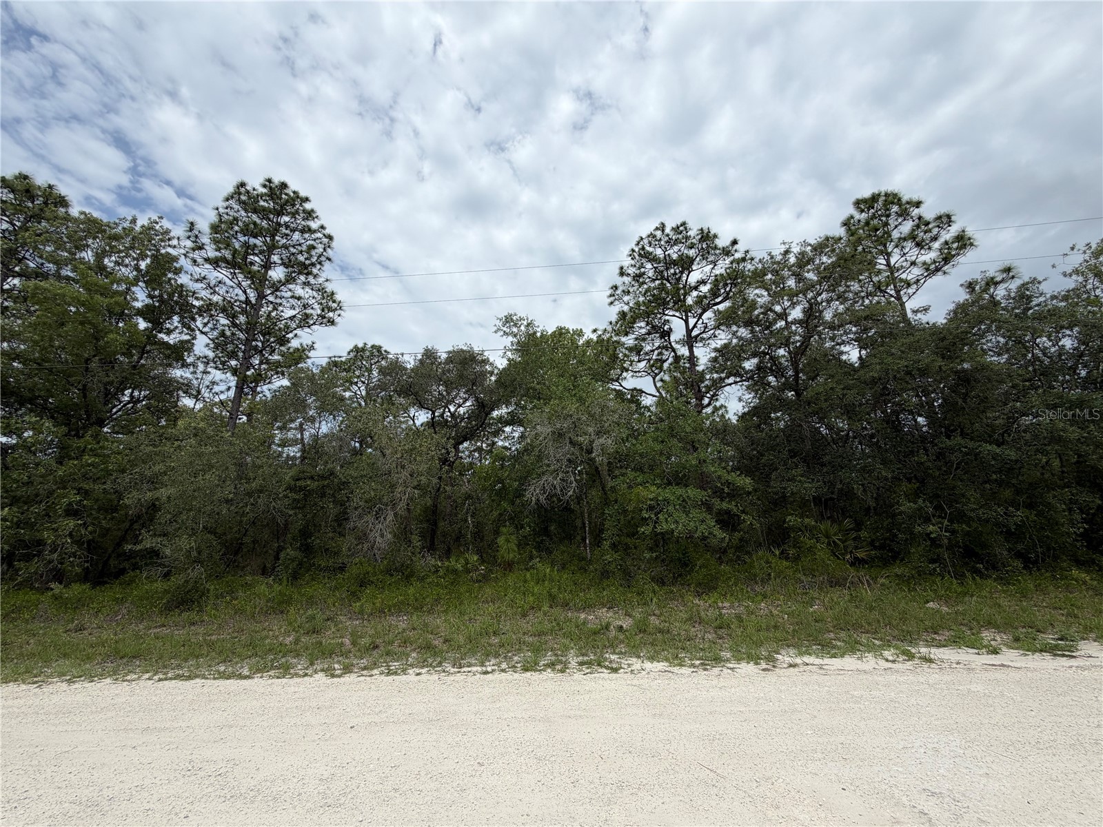 18011 Nutcracker Road Weeki Wachee FL 34614 W7886330 image10