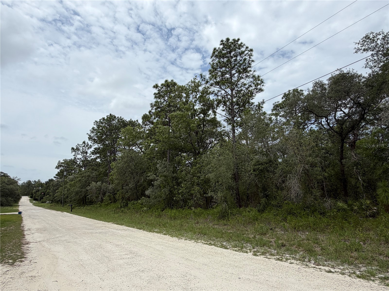 18011 Nutcracker Road Weeki Wachee FL 34614 W7886330 image11