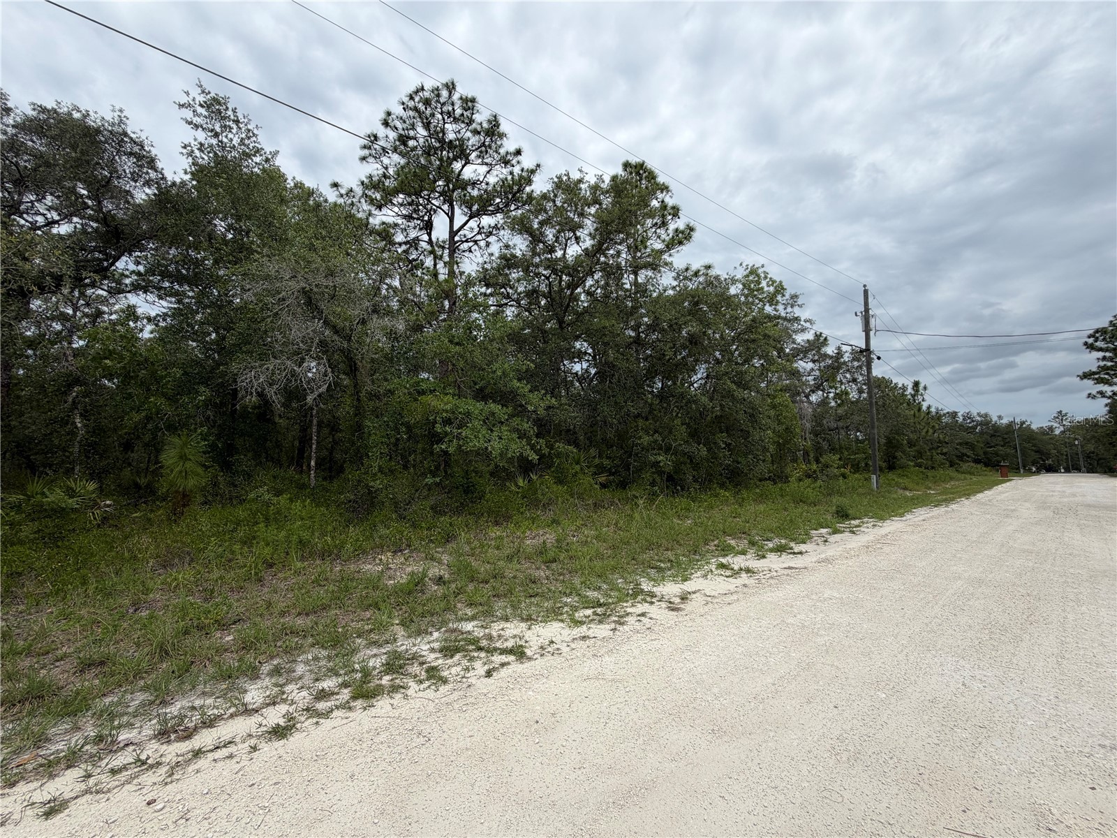 18011 Nutcracker Road Weeki Wachee FL 34614 W7886330 image2