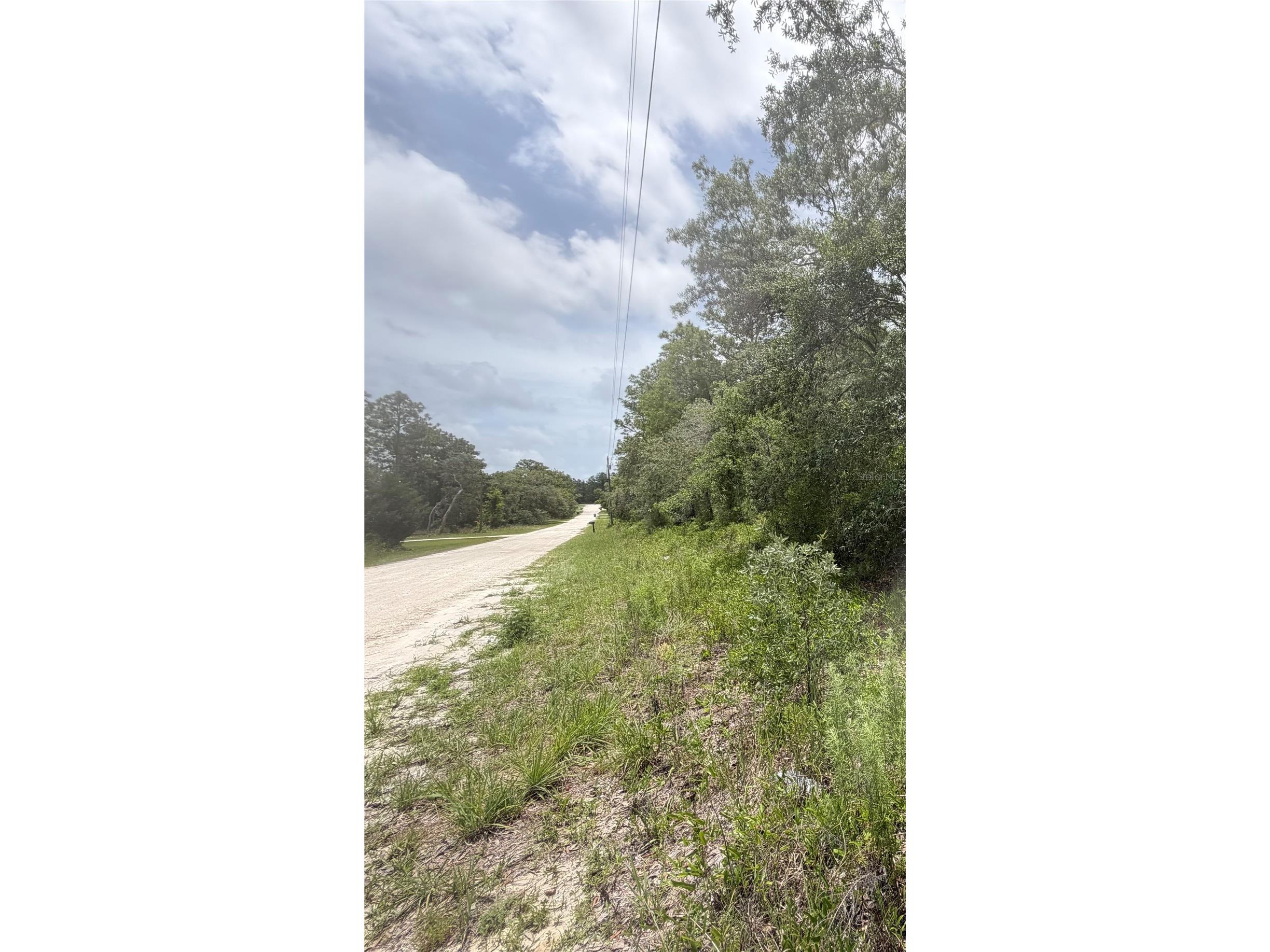 18011 Nutcracker Road Weeki Wachee FL 34614 W7886330 image3