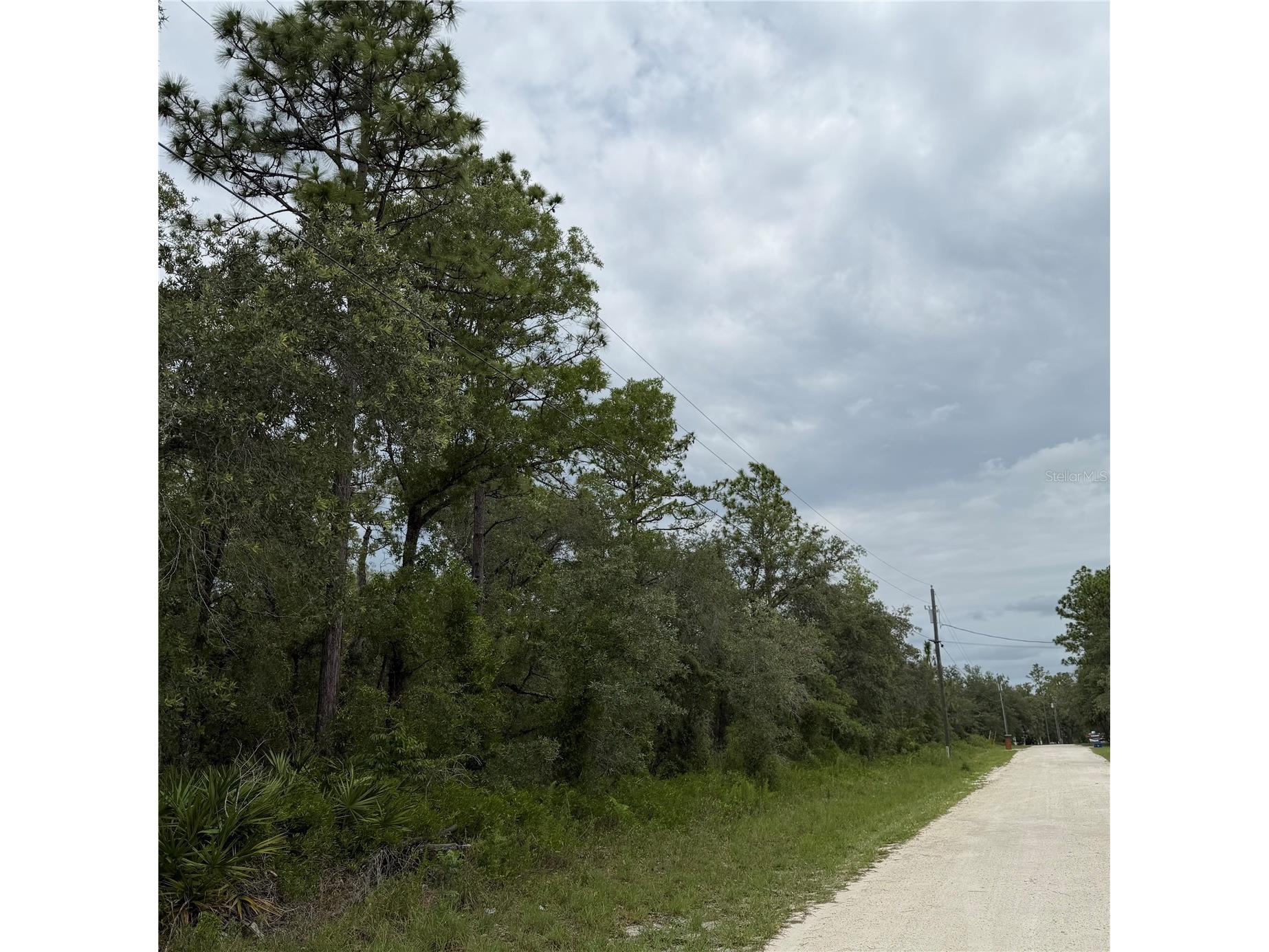18011 Nutcracker Road Weeki Wachee FL 34614 W7886330 image6