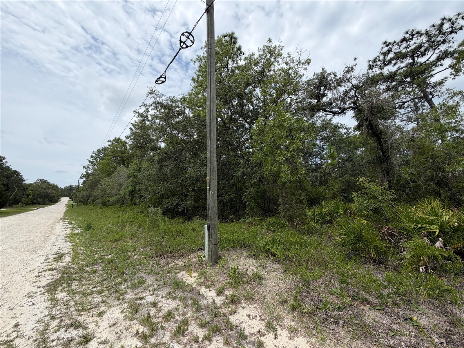 18011 Nutcracker Road Weeki Wachee FL 34614 W7886330 image7