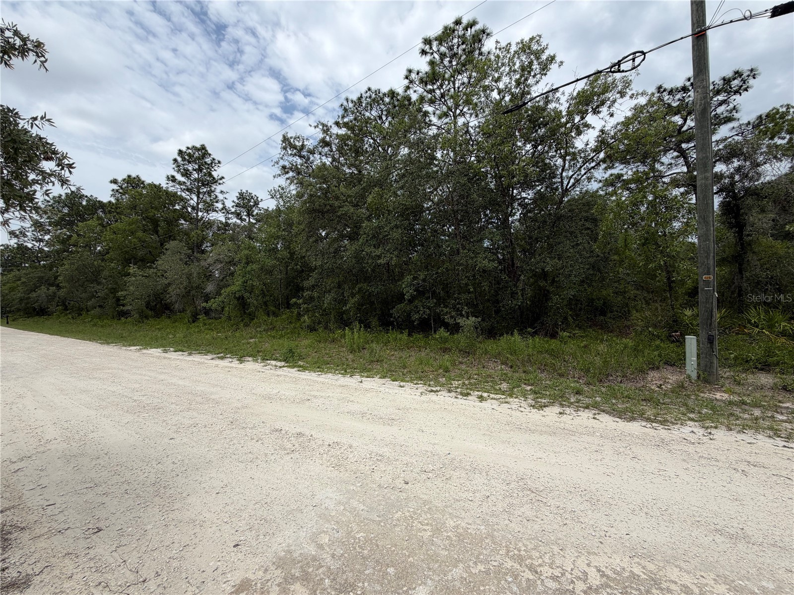 18011 Nutcracker Road Weeki Wachee FL 34614 W7886330 image8