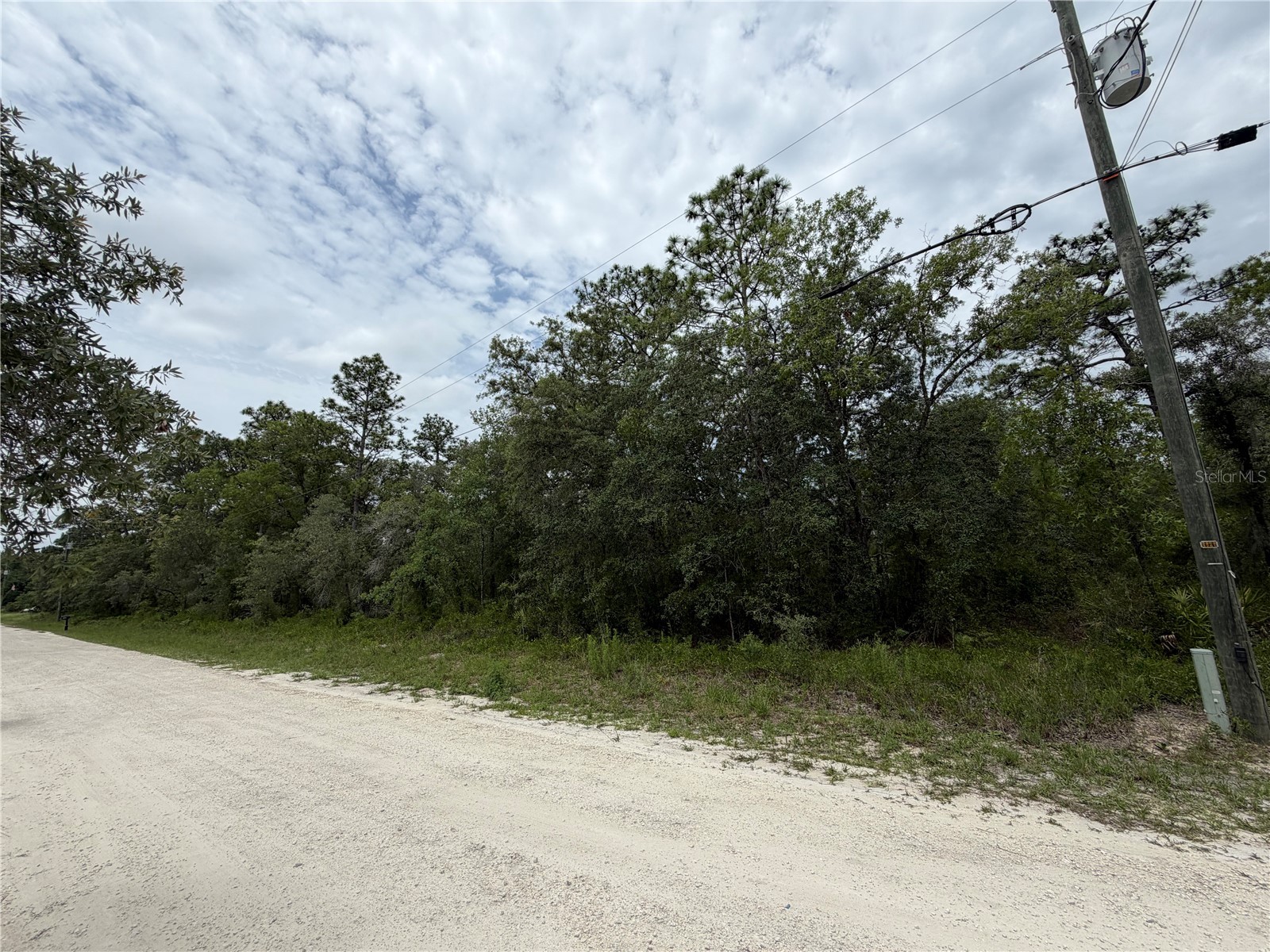 18011 Nutcracker Road Weeki Wachee FL 34614 W7886330 image9