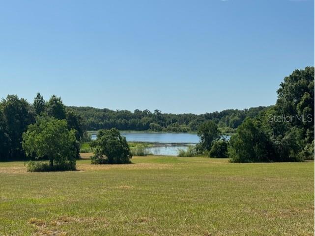 18012 Mccann Lane Dade City FL 33523 T3531166 image1