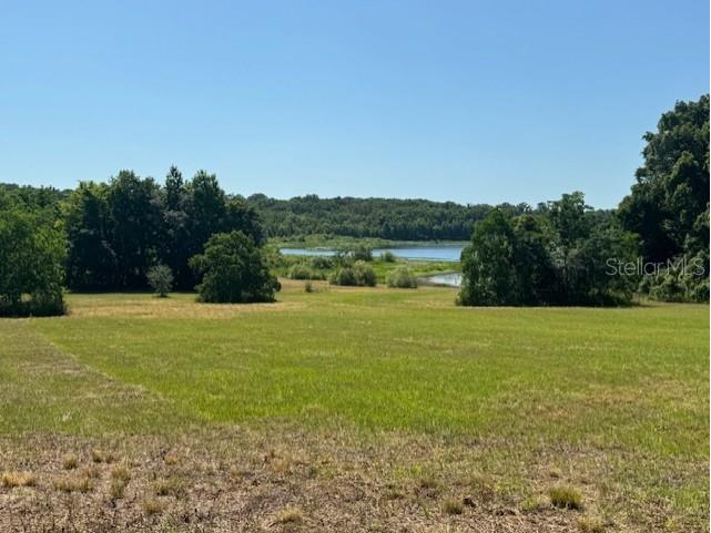 18012 Mccann Lane Dade City FL 33523 T3531166 image12