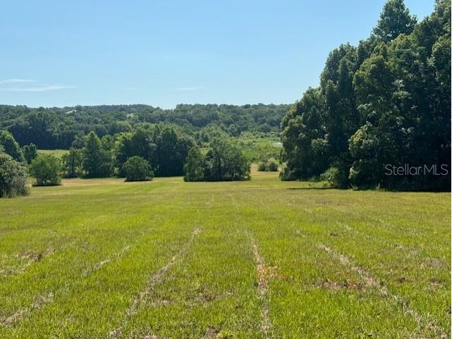 18012 Mccann Lane Dade City FL 33523 T3531166 image13