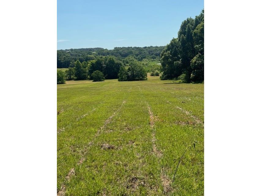 18012 Mccann Lane Dade City FL 33523 T3531166 image14