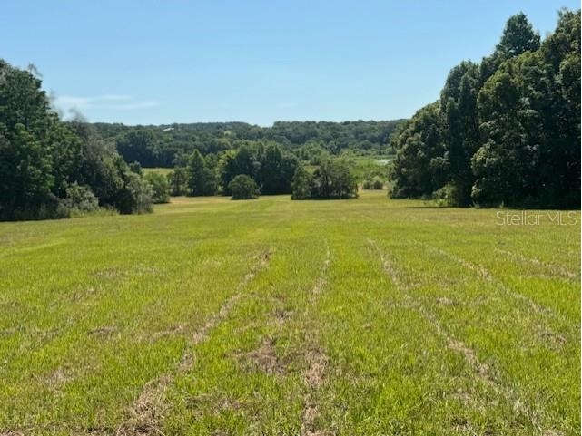 18012 Mccann Lane Dade City FL 33523 T3531166 image15