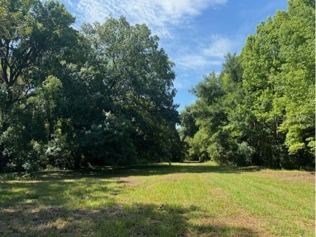 18012 Mccann Lane Dade City FL 33523 T3531166 image3