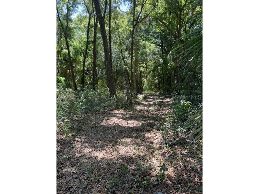 18012 Mccann Lane Dade City FL 33523 T3531166 image4