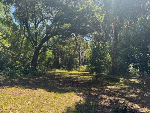 18012 Mccann Lane Dade City FL 33523 T3531166 image5