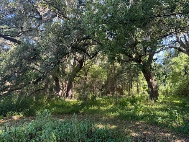 18012 Mccann Lane Dade City FL 33523 T3531166 image7