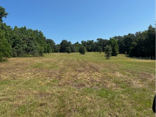 18012 Mccann Lane Dade City FL 33523 T3531166 image9