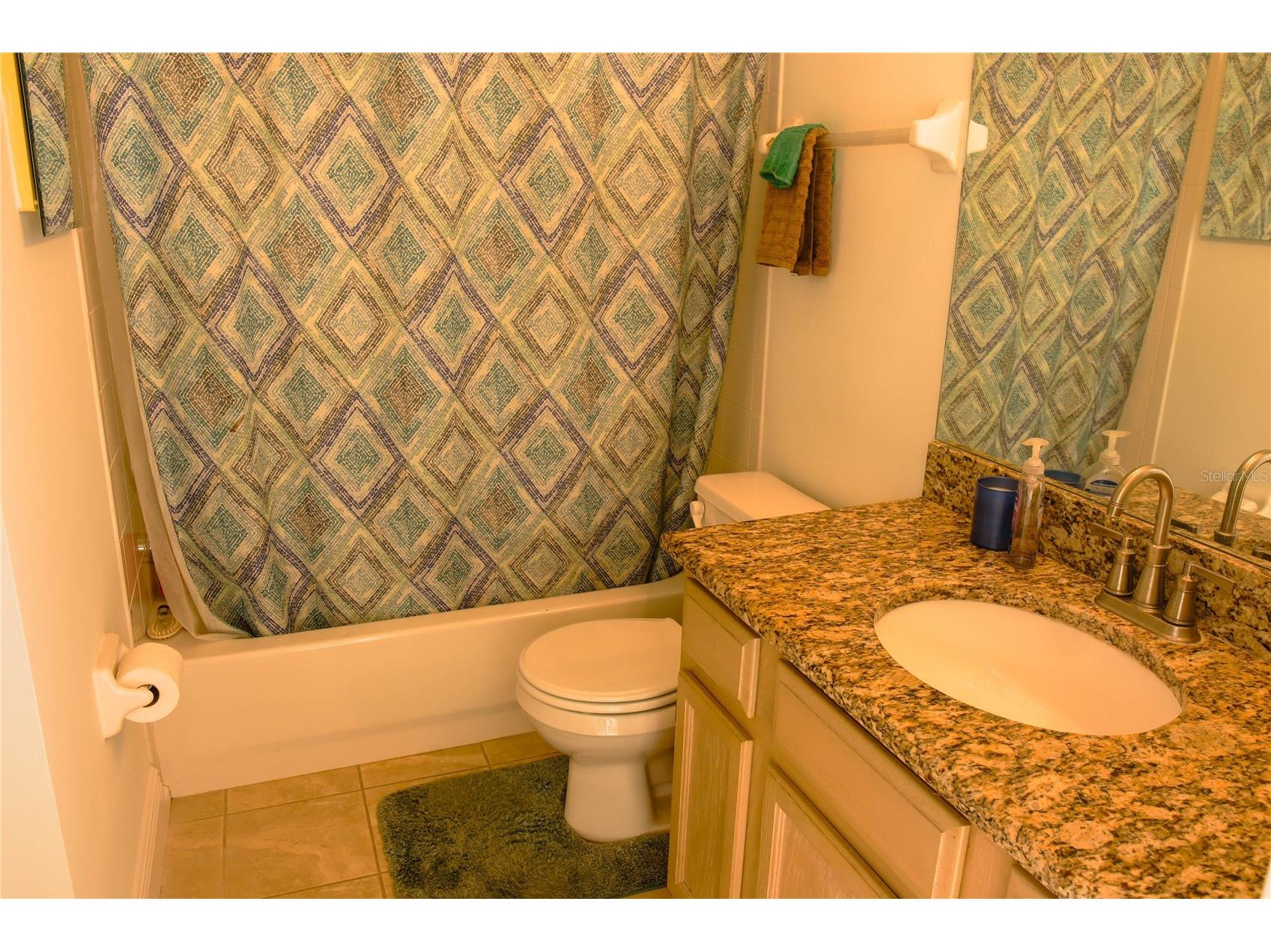 18012 Sparrows Nest Drive Lutz FL 33558 TB8498989 image27
