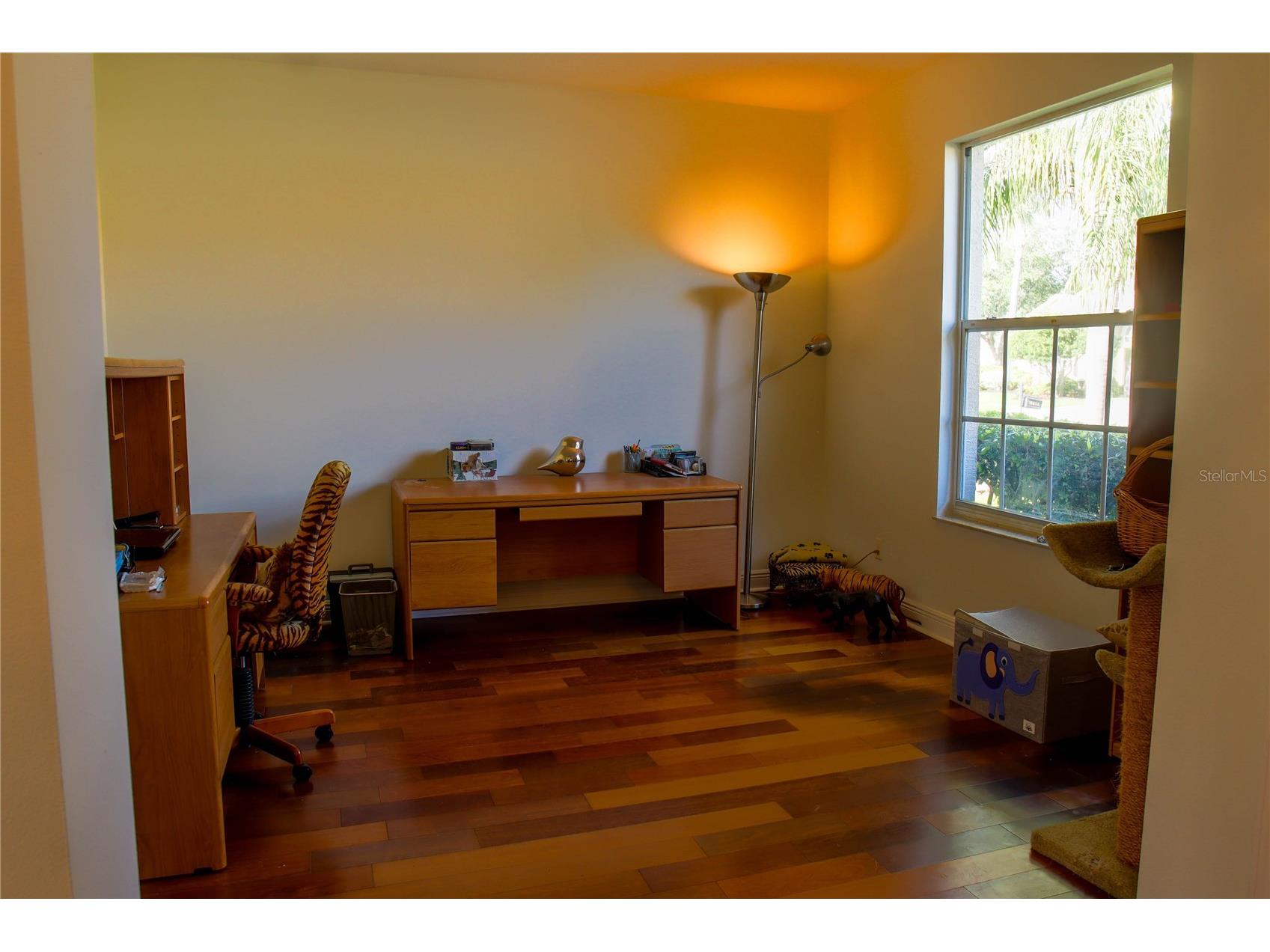 18012 Sparrows Nest Drive Lutz FL 33558 TB8498989 image29