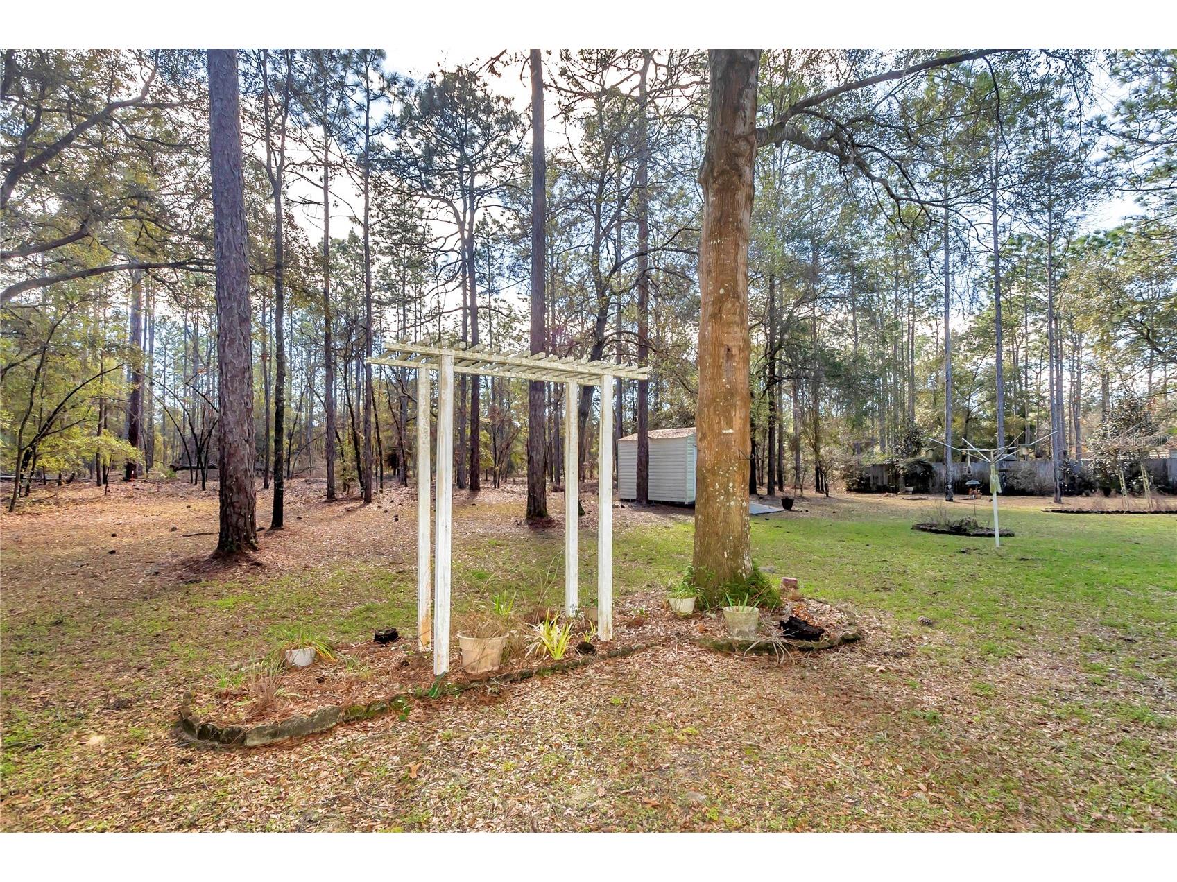 18012 SW 68 Loop Dunnellon FL 34432 - THE RAINBOW RIVER OM713446 image42