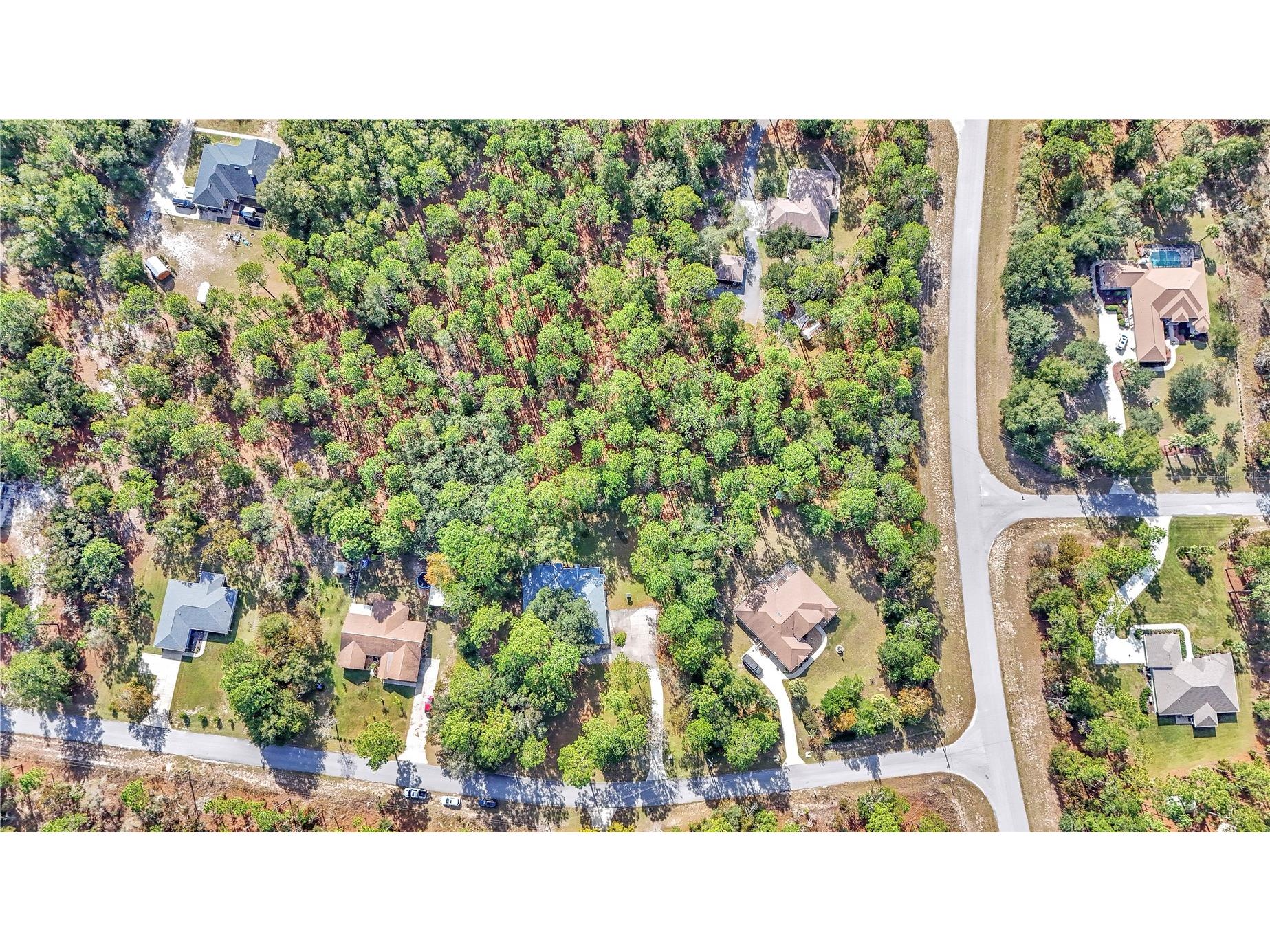 18012 SW 68 Loop Dunnellon FL 34432 - THE RAINBOW RIVER OM713446 image50