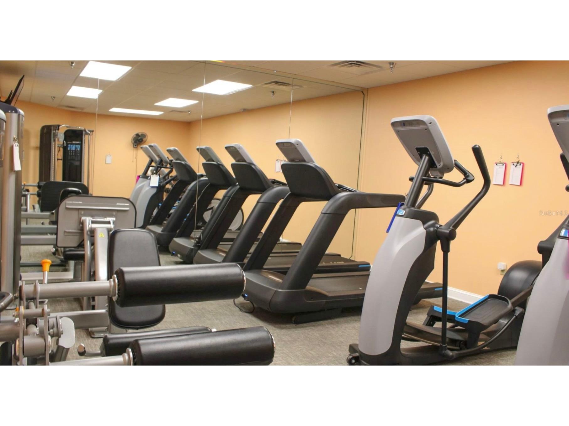 18012 SW 68 Loop Dunnellon FL 34432 - THE RAINBOW RIVER OM713446 image52