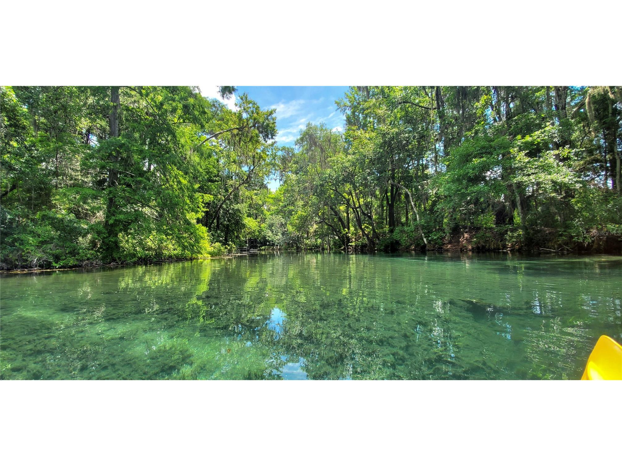 18012 SW 68 Loop Dunnellon FL 34432 - THE RAINBOW RIVER OM713446 image59