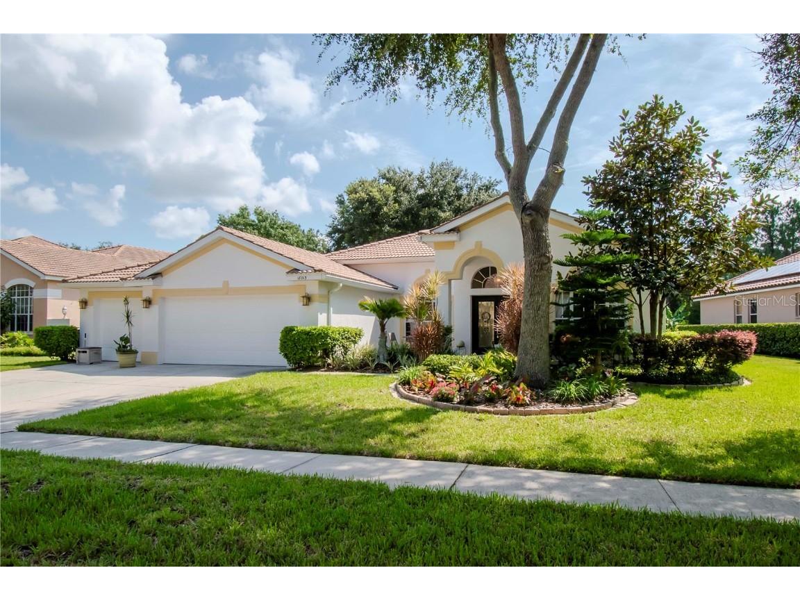 18013 Avalon Lane Tampa FL 33647 T3548113 image1