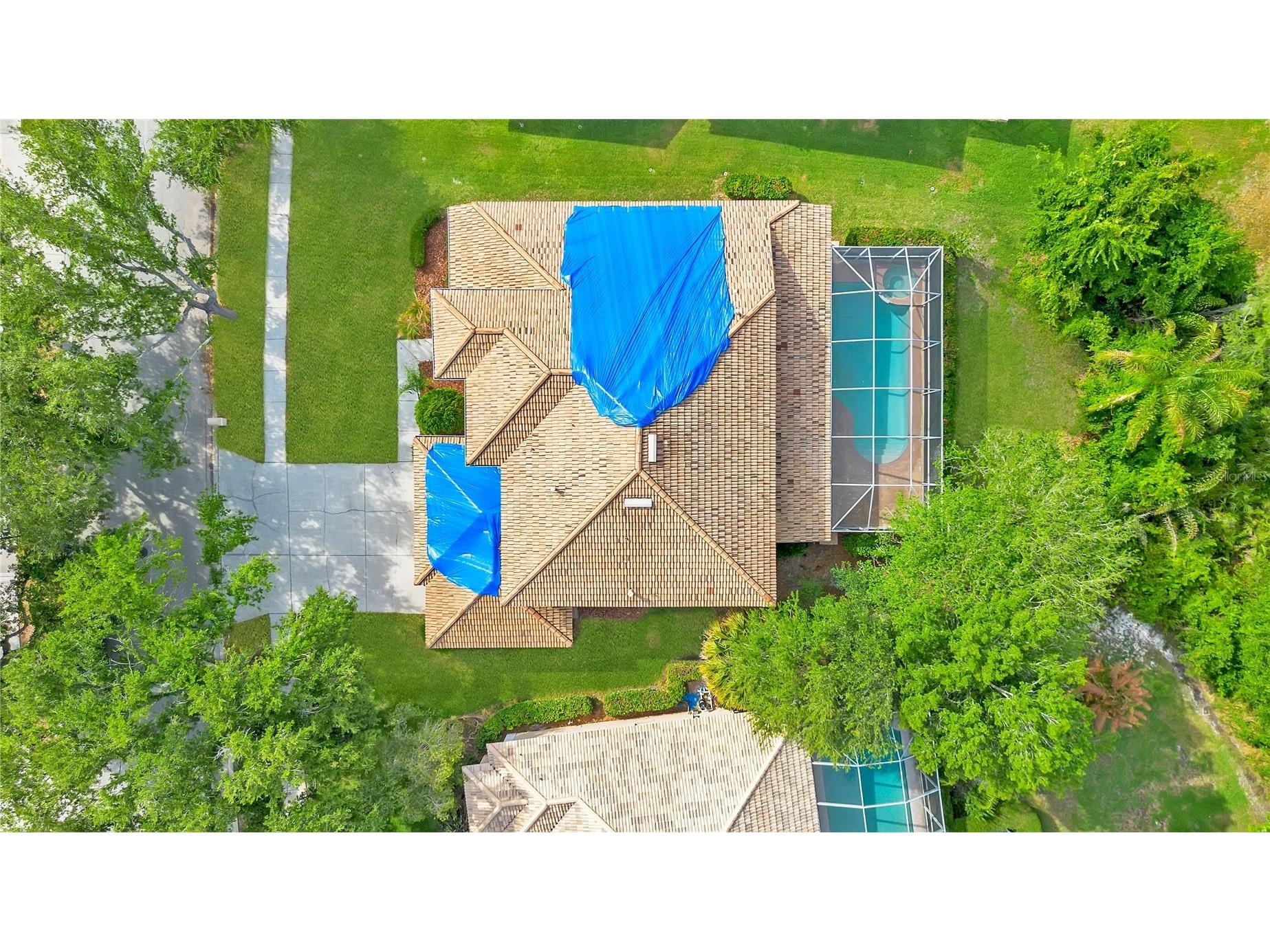 18013 Forest Retreat Lane Tampa FL 33647 O6405650 image47