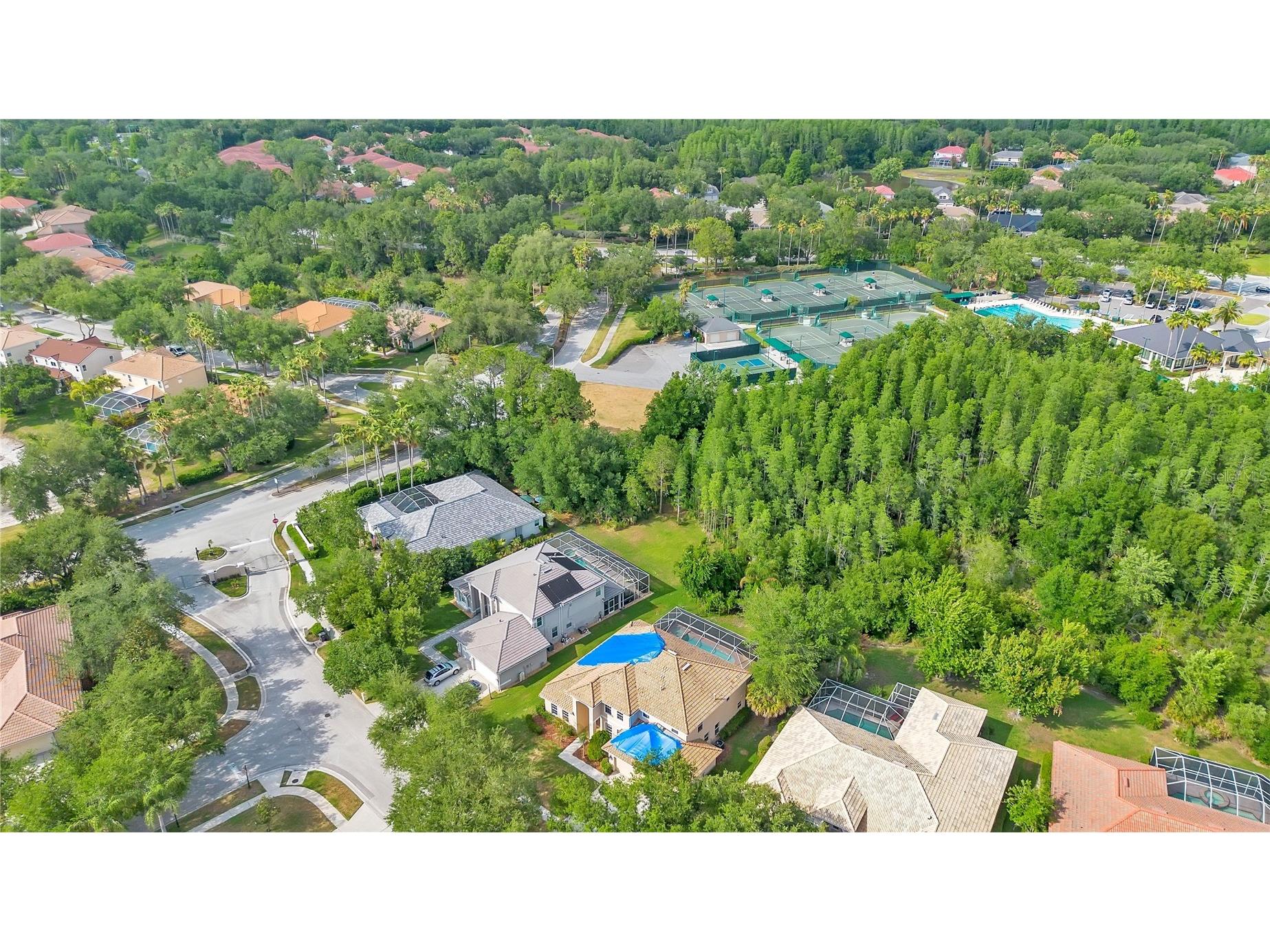 18013 Forest Retreat Lane Tampa FL 33647 O6405650 image48