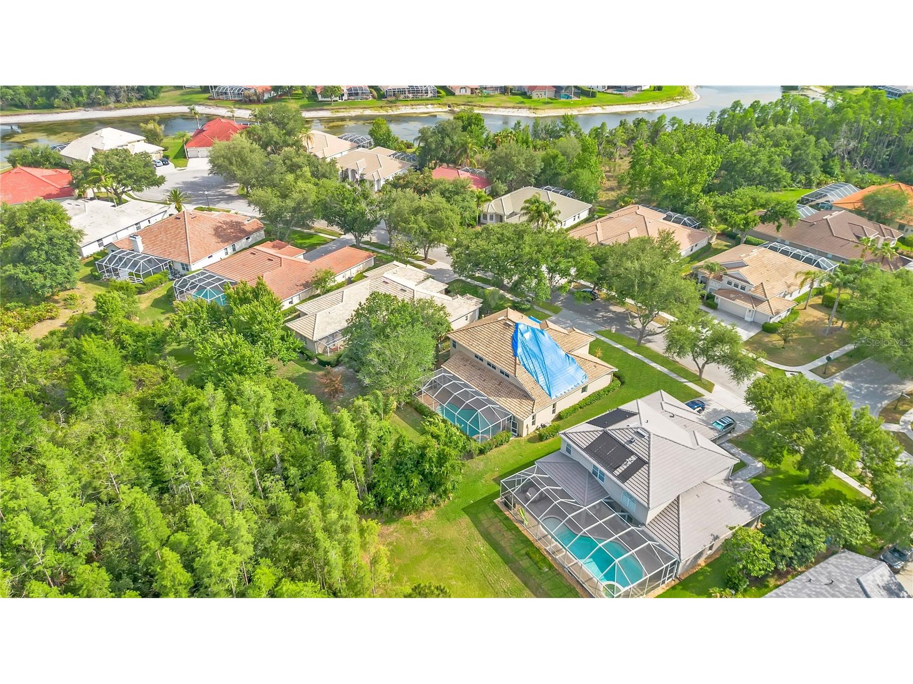 18013 Forest Retreat Lane Tampa FL 33647 O6405650 image49