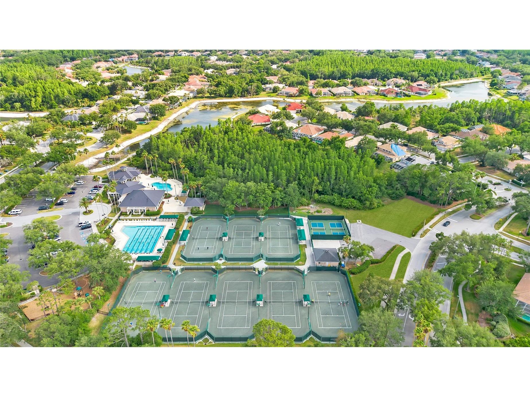 18013 Forest Retreat Lane Tampa FL 33647 O6405650 image50