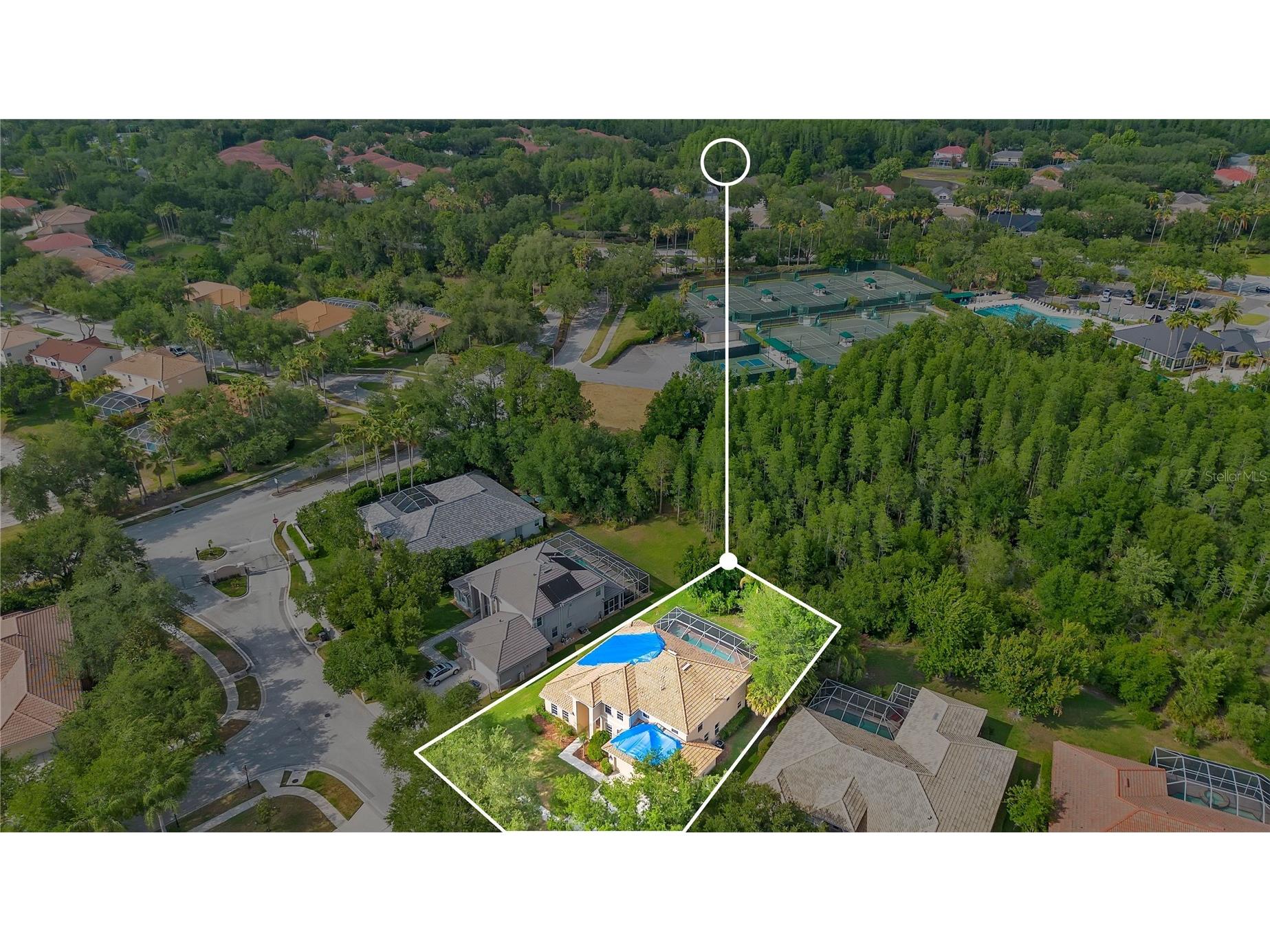 18013 Forest Retreat Lane Tampa FL 33647 O6405650 image53