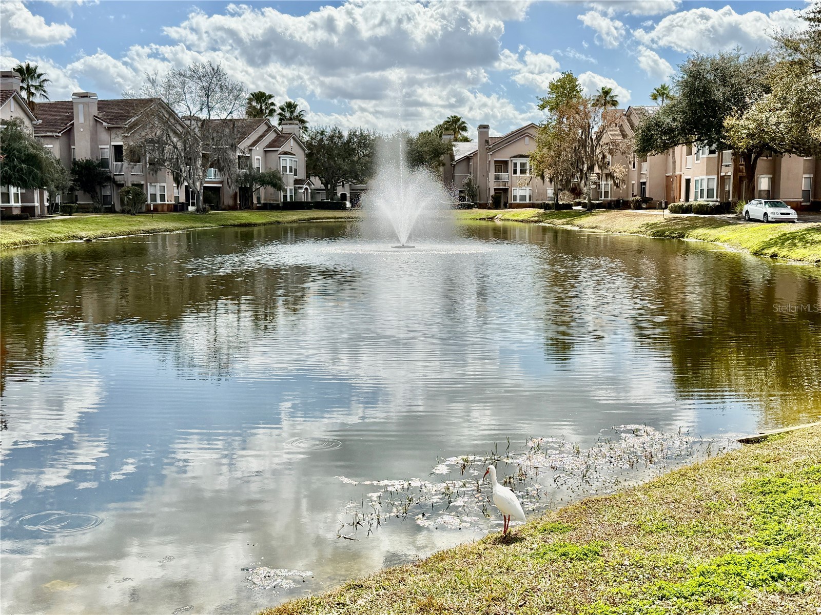 18013 Villa Creek Drive Tampa FL 33647 TB8479103 image46