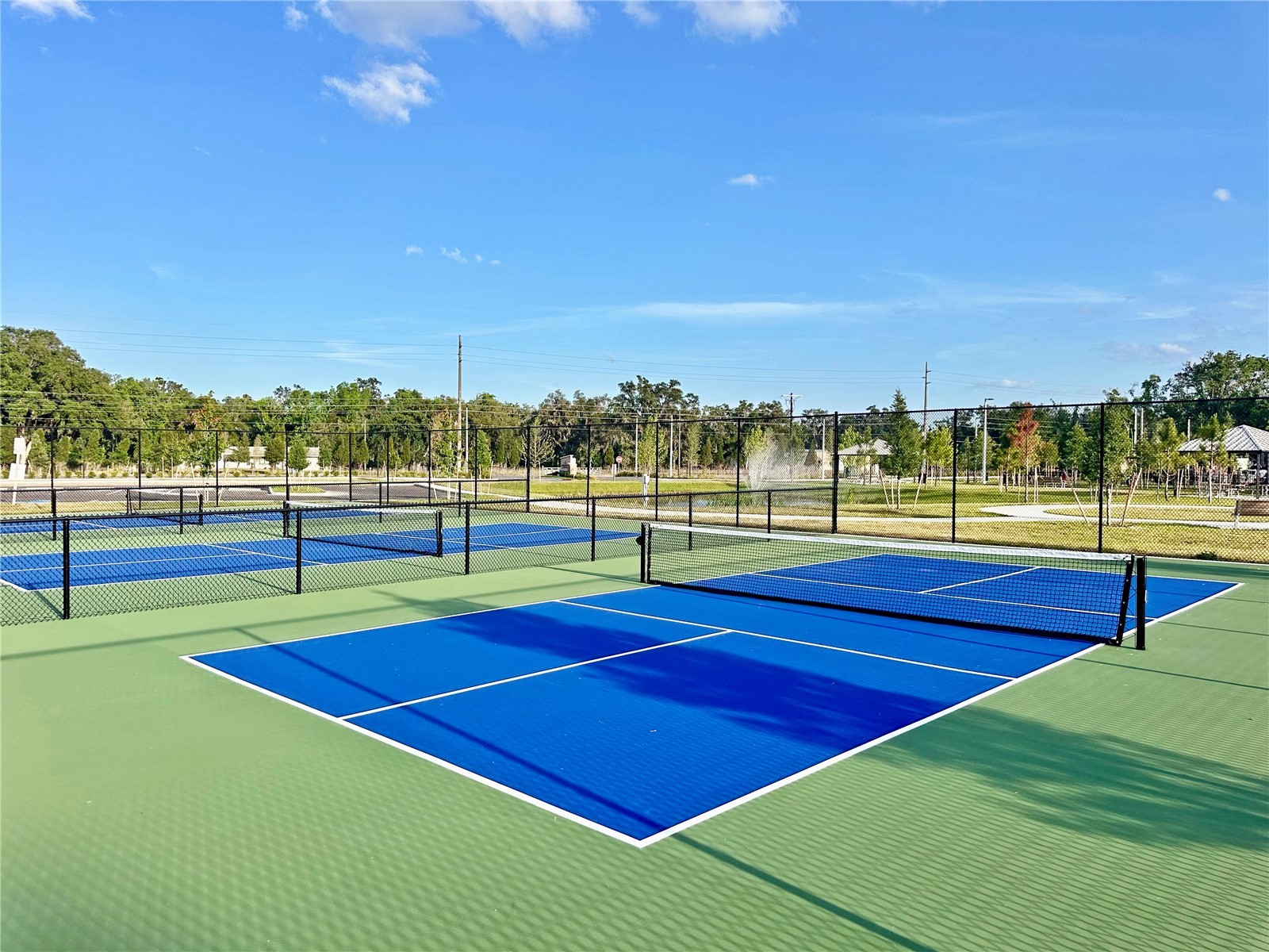 18013 Villa Creek Drive Tampa FL 33647 TB8479103 image54