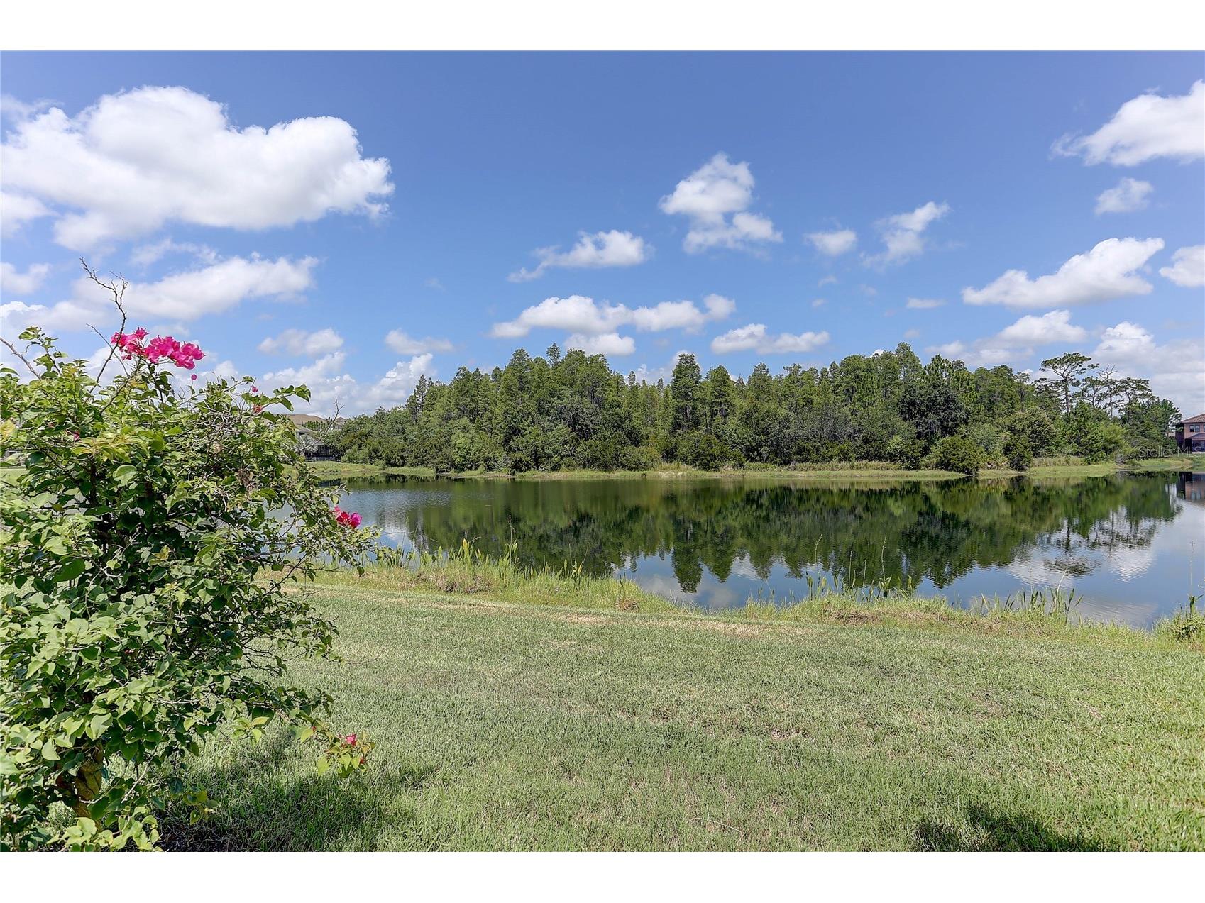 18014 Woodland View Drive Lutz FL 33548 TB8528425 image13