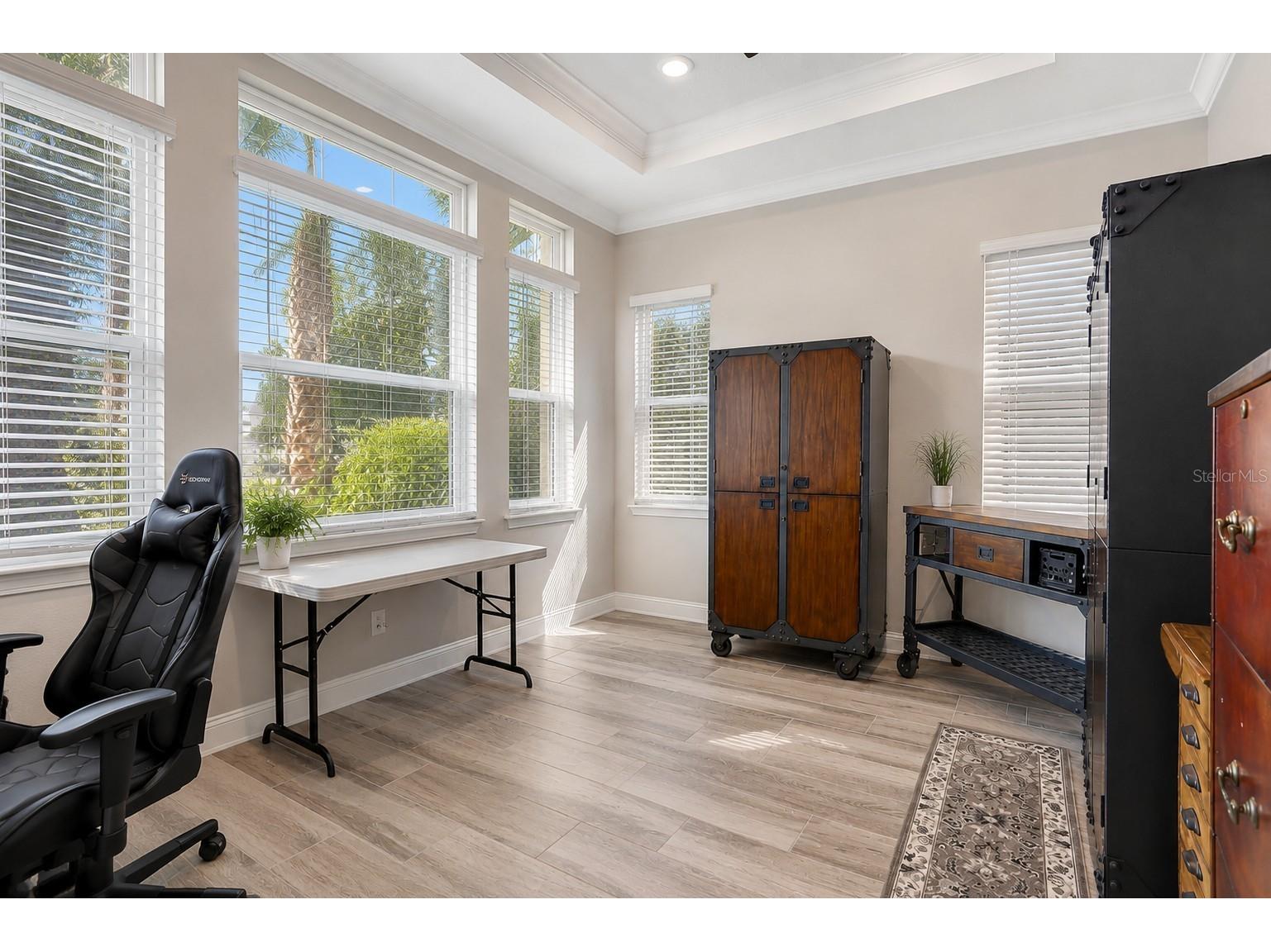 18014 Woodland View Drive Lutz FL 33548 TB8528425 image17
