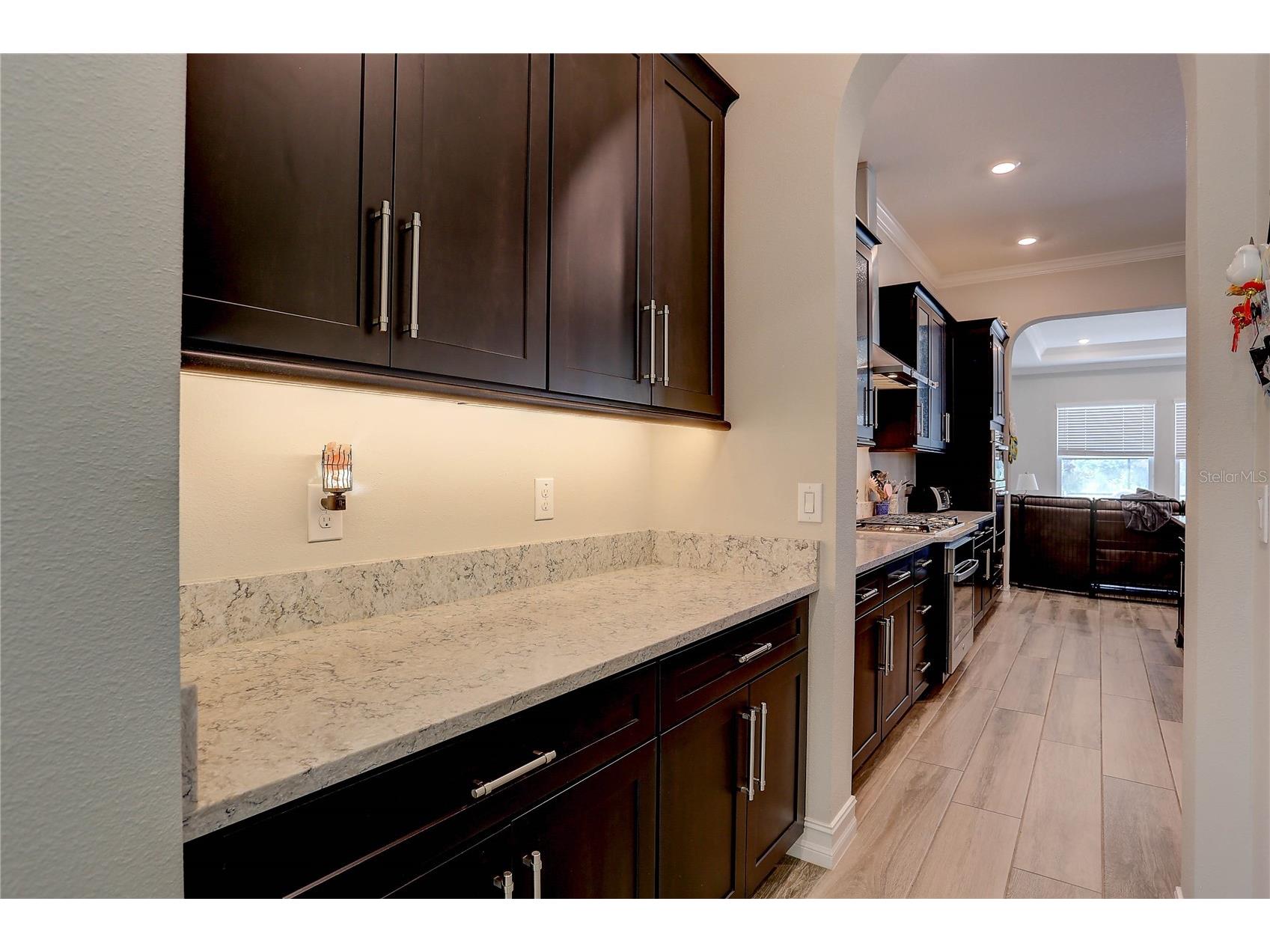18014 Woodland View Drive Lutz FL 33548 TB8528425 image19
