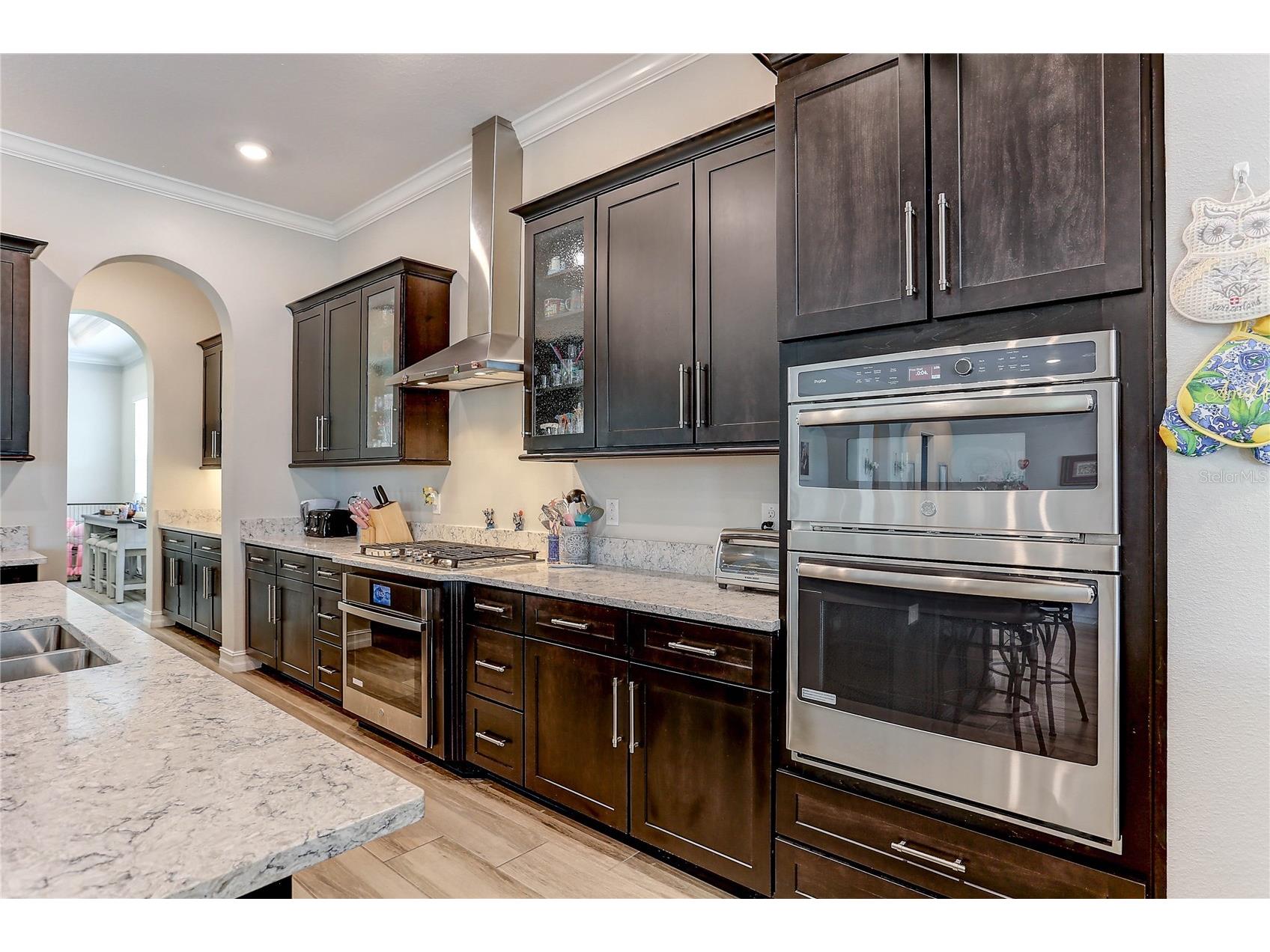 18014 Woodland View Drive Lutz FL 33548 TB8528425 image24