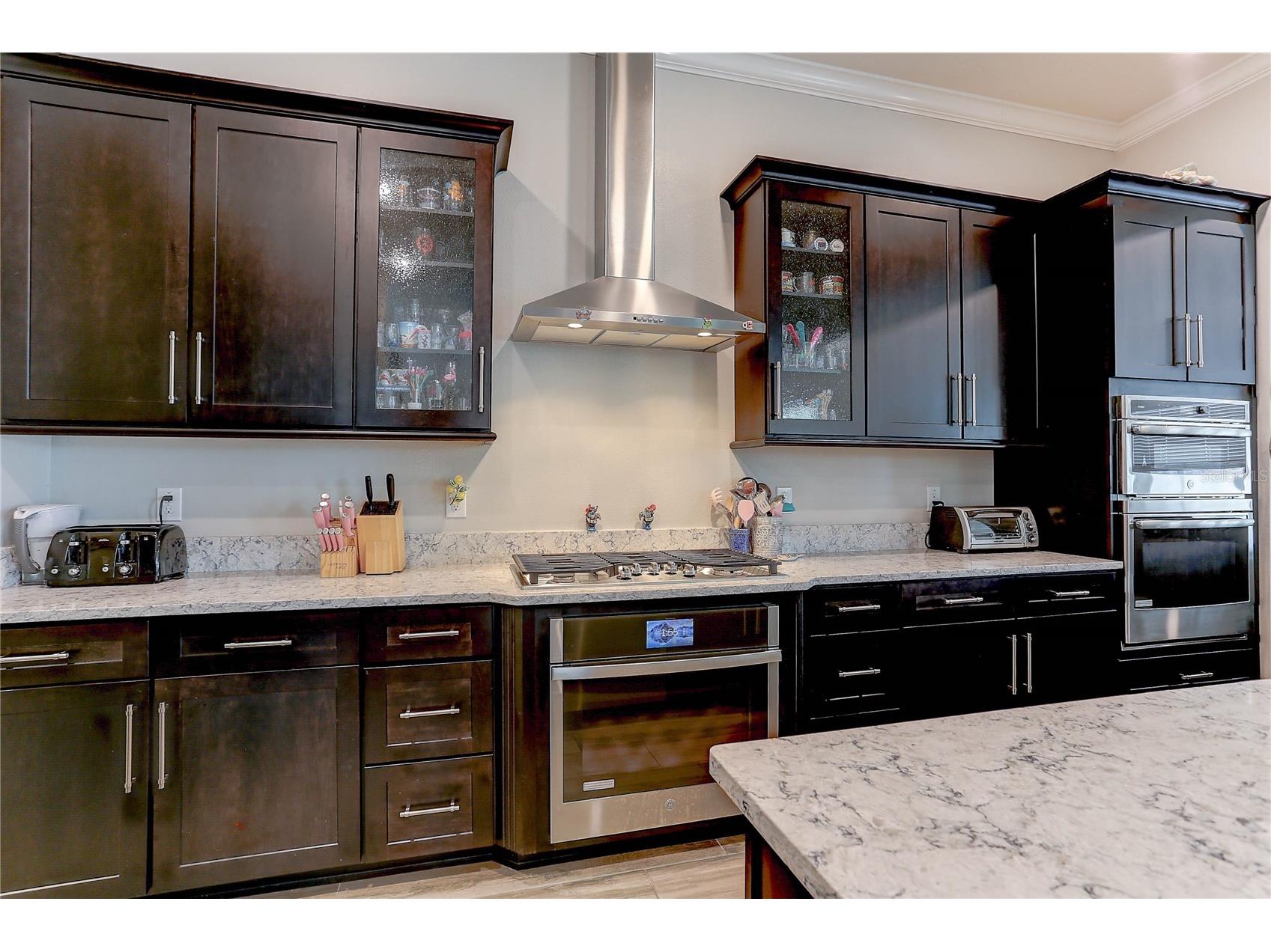 18014 Woodland View Drive Lutz FL 33548 TB8528425 image26