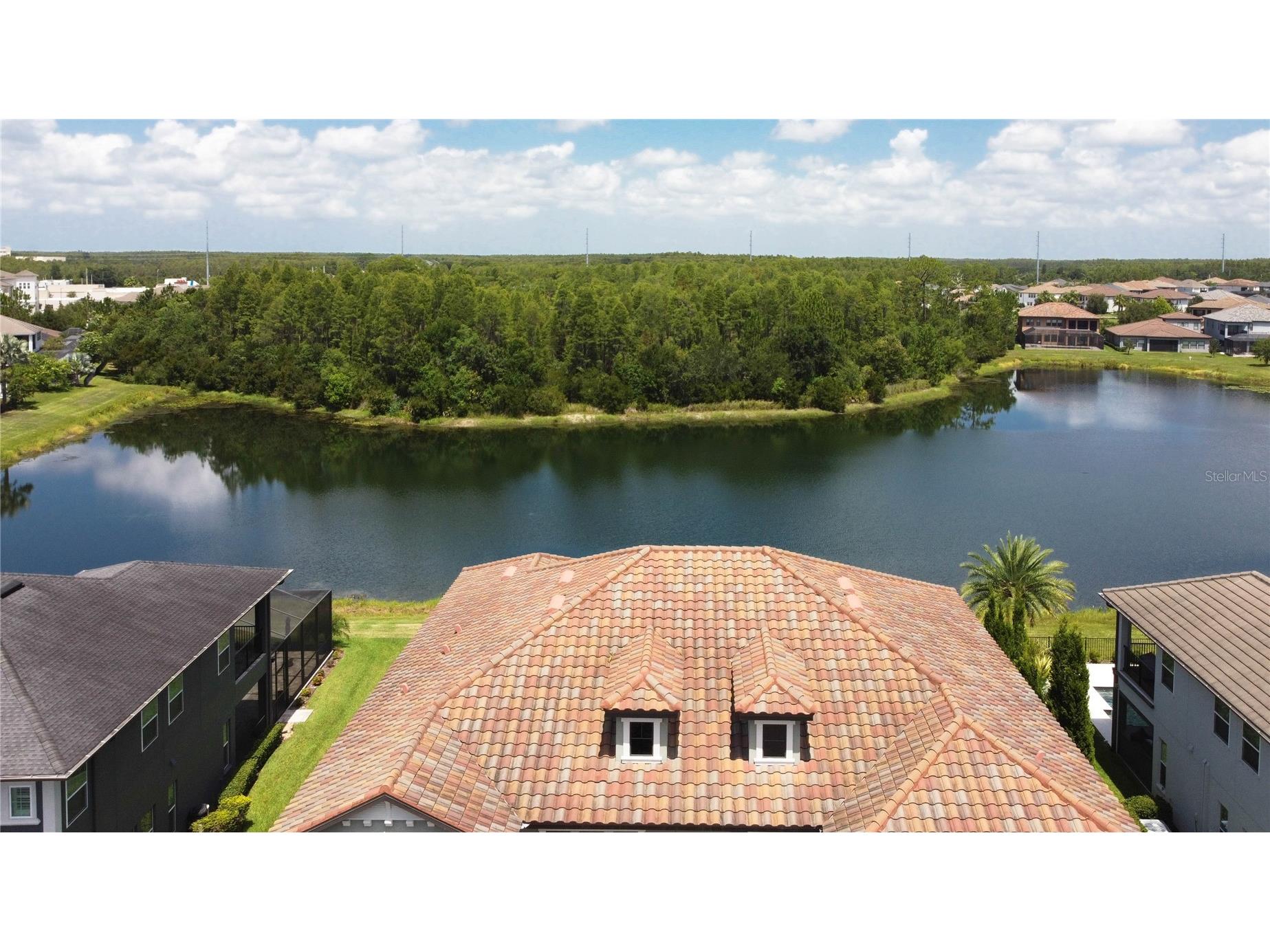 18014 Woodland View Drive Lutz FL 33548 TB8528425 image3