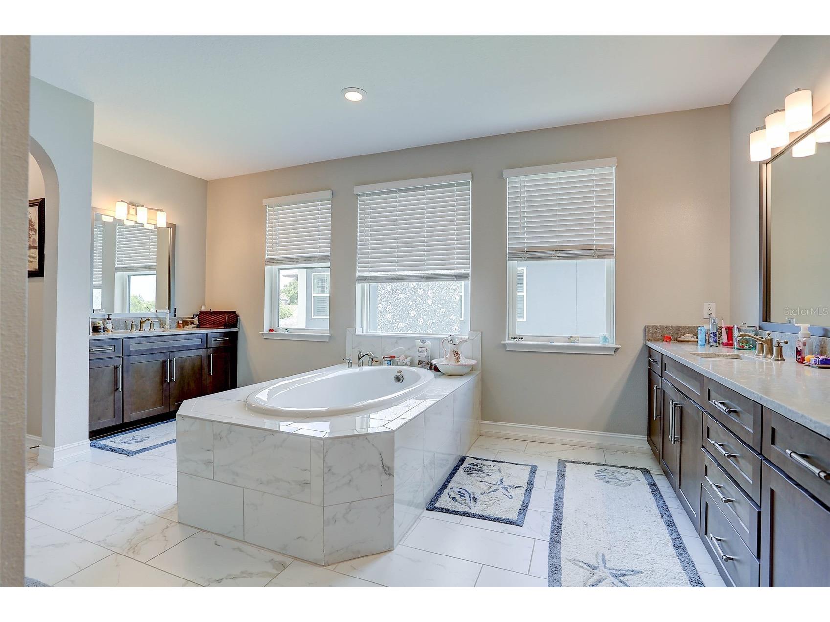 18014 Woodland View Drive Lutz FL 33548 TB8528425 image41