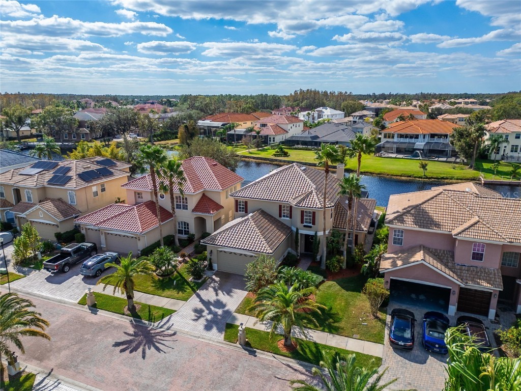 18016 Cozumel Isle Drive Tampa FL 33647 TB8323626 image1