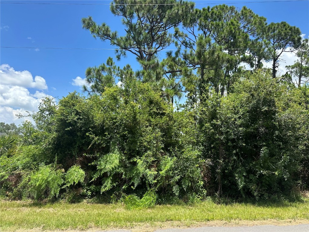 18016 Placid Avenue Port Charlotte FL 33948 D6137513 image1