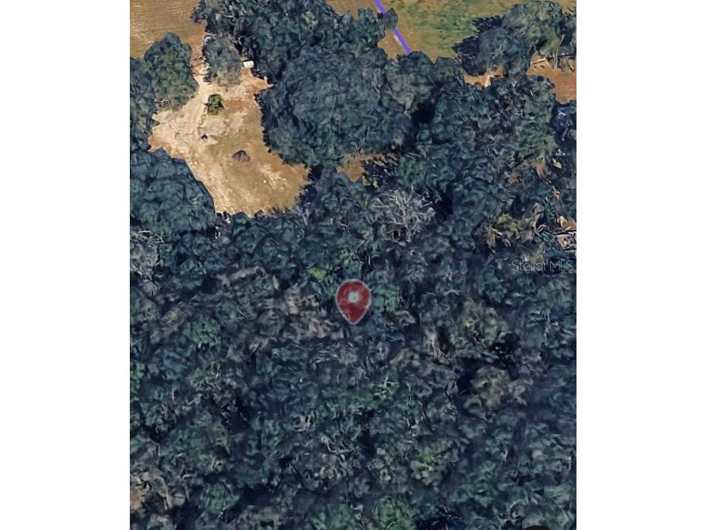 18016 SW 191st Avenue Archer FL 32618 TB8454865 image2