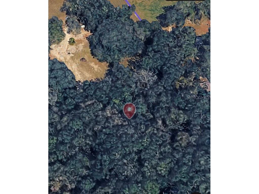 18016 SW 191st Avenue Archer FL 32618 TB8454865 image3