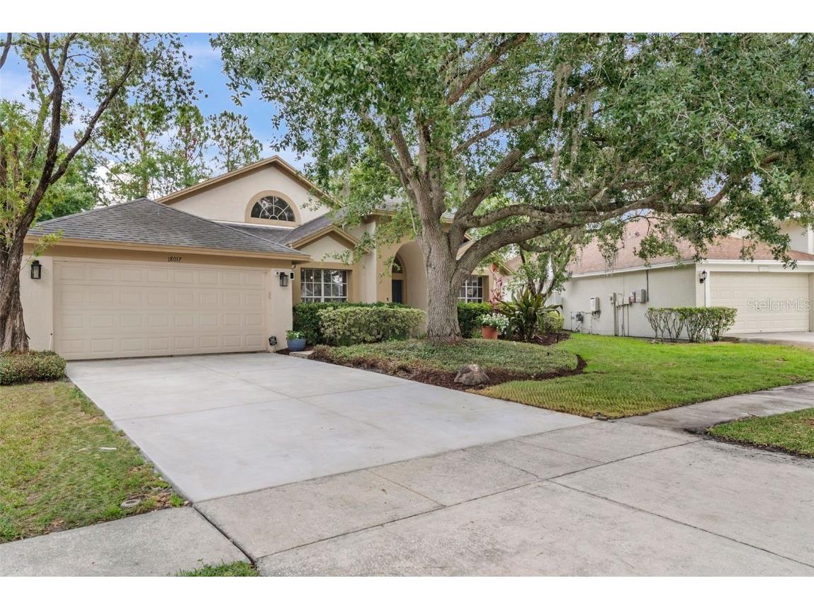18017 Palm Breeze Drive Tampa FL 33647 TB8391168 image1