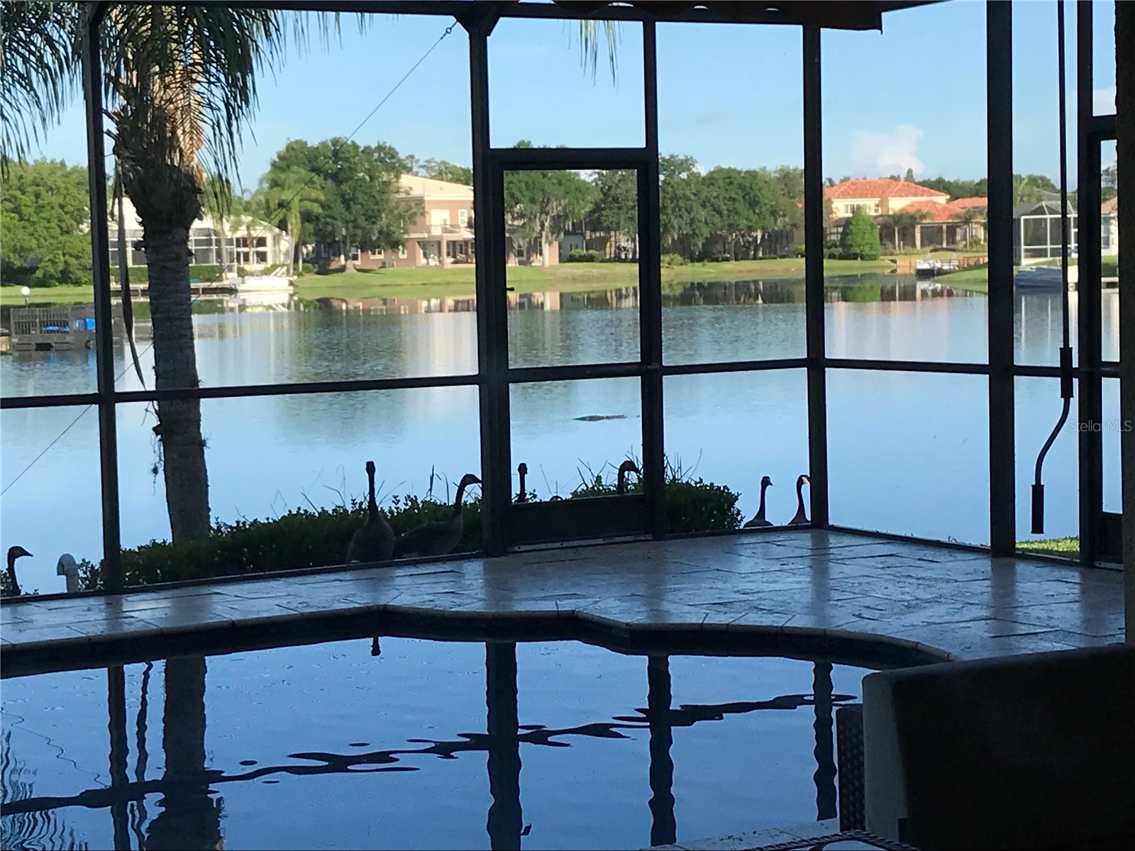 18018 Java Isle Drive Tampa FL 33647 - CORY LAKE TB8525534 image11